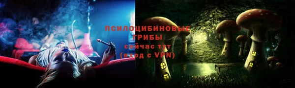 гашик Гусев