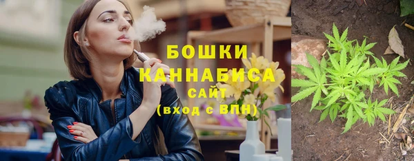 гашик Гусев
