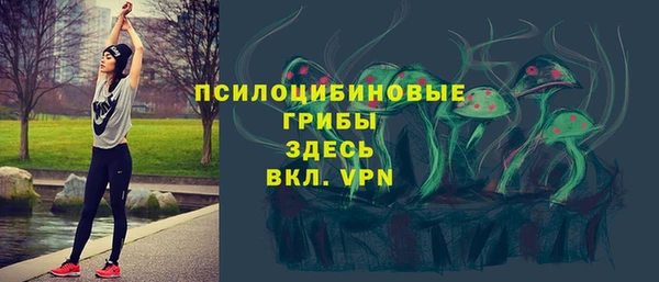 МДПВ Гусь-Хрустальный