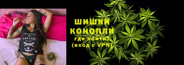 стаф Вязьма