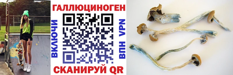 дарк нет состав  Златоуст  Галлюциногенные грибы прущие грибы  мега ССЫЛКА 